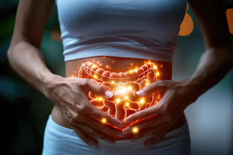 The Power of Collagen Protein: Why It’s the Ultimate Fitness & Wellness Booster